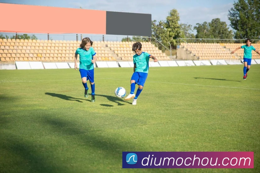 开云平台生态图